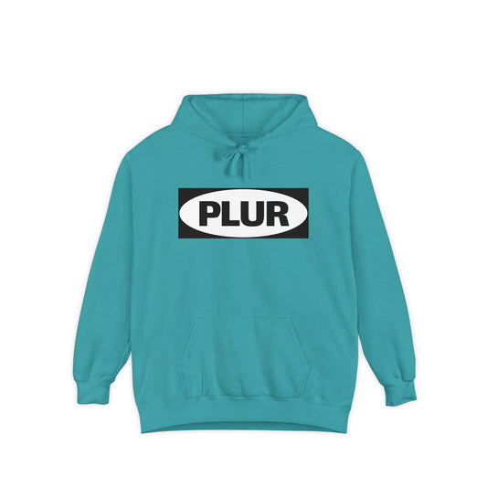 "PLUR Instructions" Hoodie