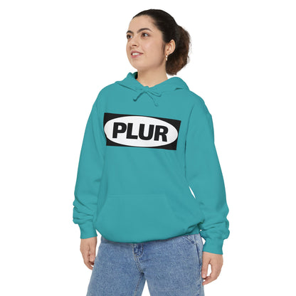 "PLUR Instructions" Hoodie