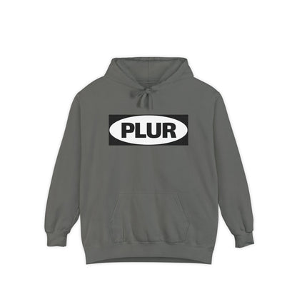 "PLUR Instructions" Hoodie