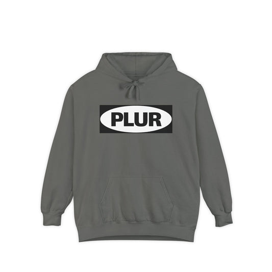 "PLUR Instructions" Hoodie