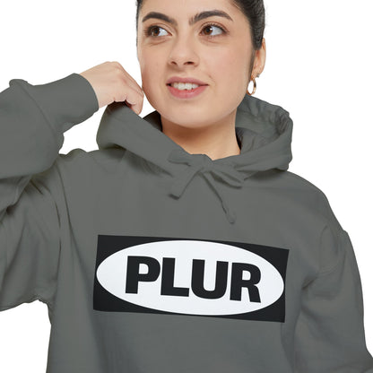 "PLUR Instructions" Hoodie