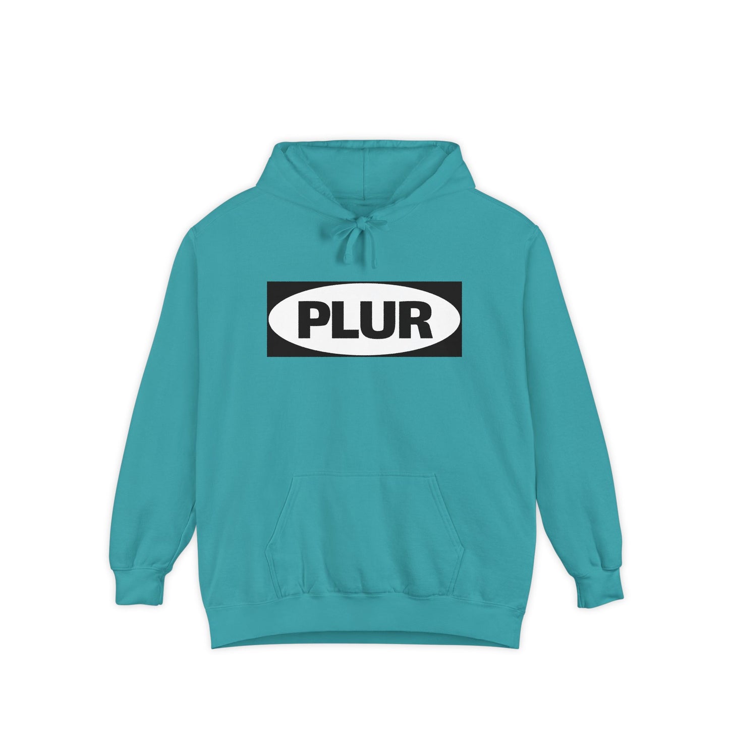"PLUR Instructions" Hoodie