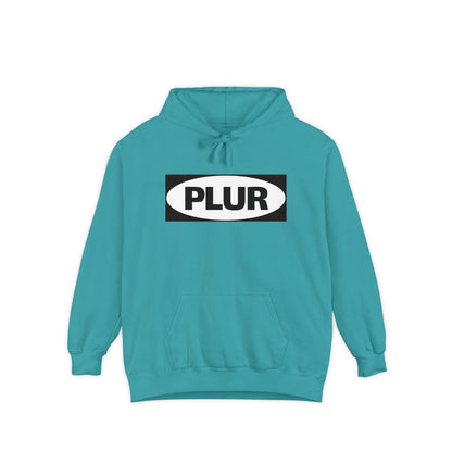 "PLUR Instructions" Hoodie