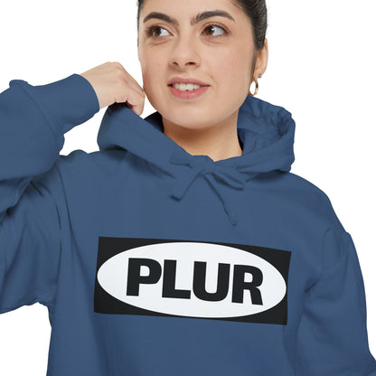 "PLUR Instructions" Hoodie