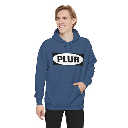 "PLUR Instructions" Hoodie
