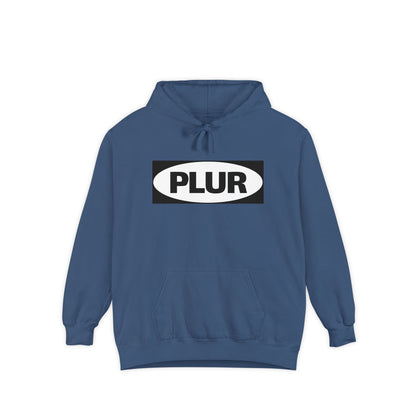 "PLUR Instructions" Hoodie