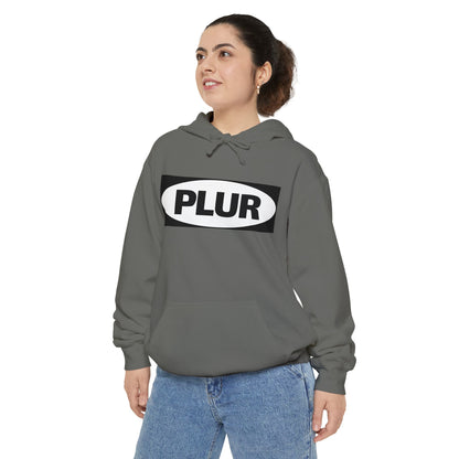 "PLUR Instructions" Hoodie